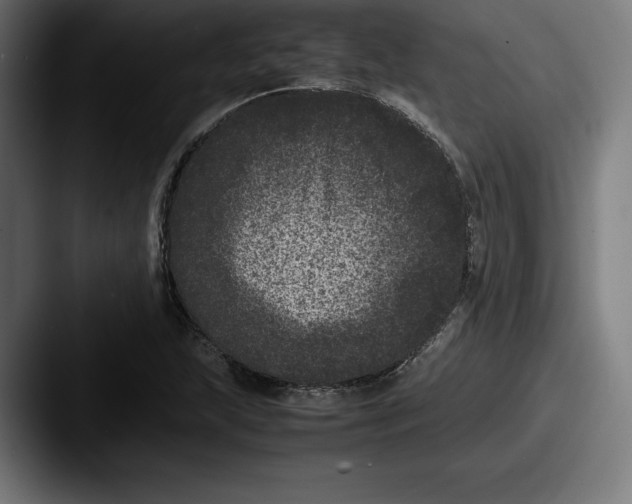 X0000087581215200705181155