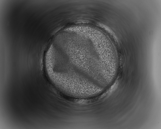 X0000087581217200705181155