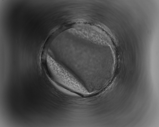 X0000087581218200705181155