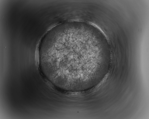 X0000087581219200705181155