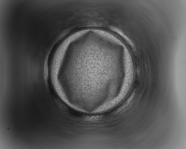 X0000087581221200705181155