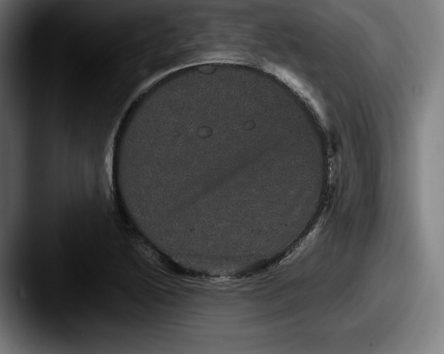 X0000087581222200705181155