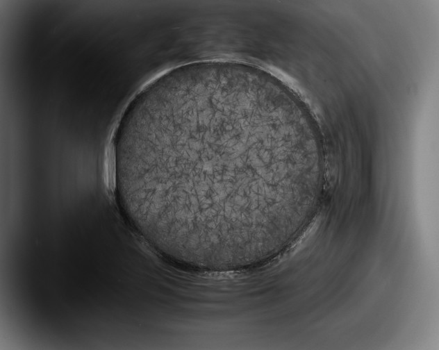 X0000087581223200705181155