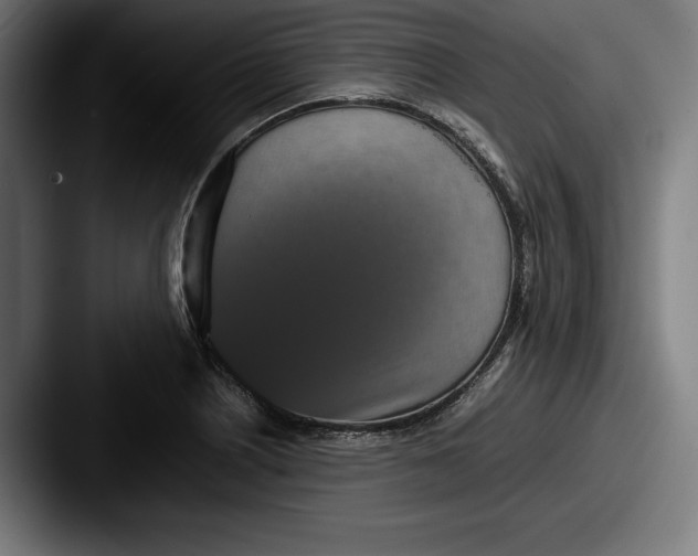 X0000087581226200705181155