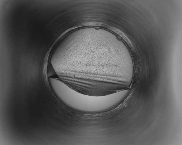 X0000087581228200705181155