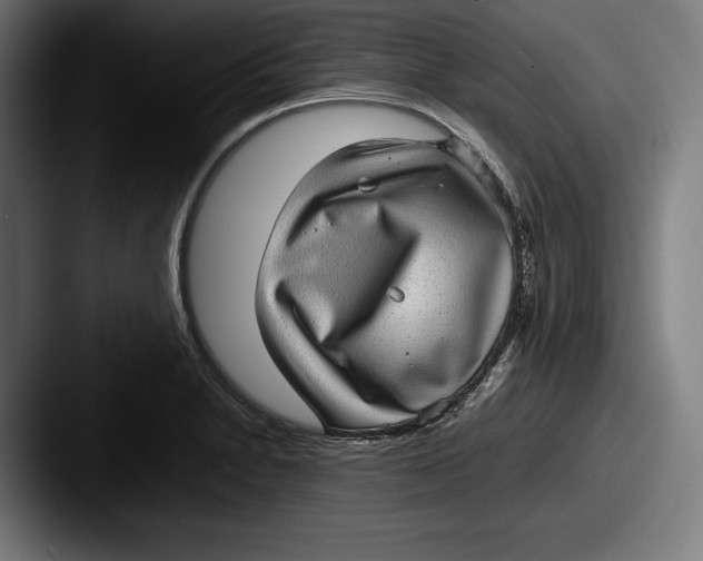 X0000087581230200705181155