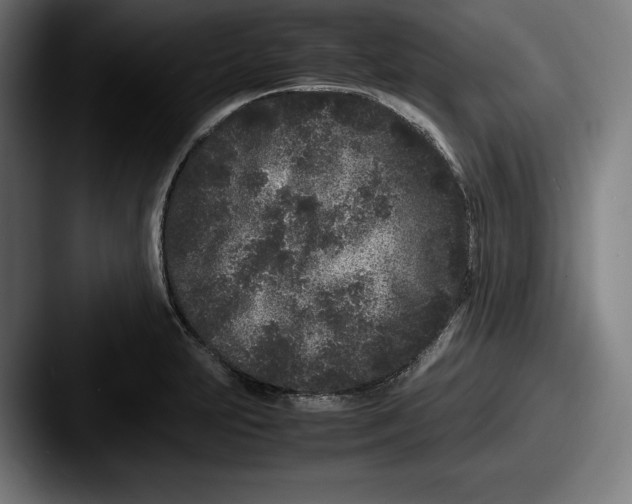 X0000087581231200705181155