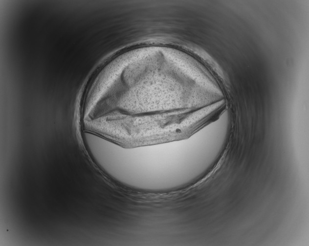 X0000087581232200705181155