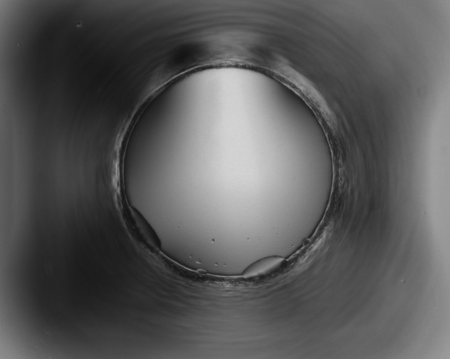 X0000087581234200705181155