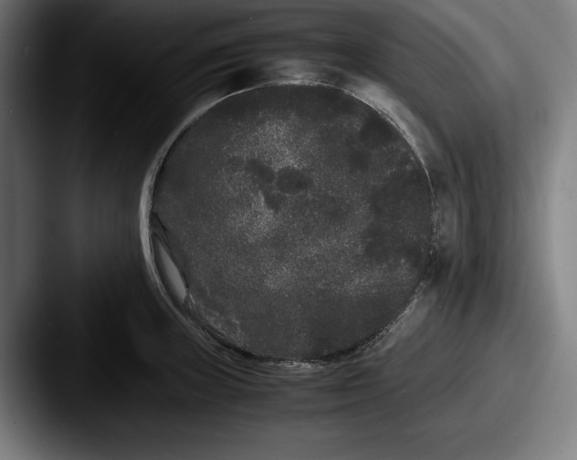 X0000087581235200705181155