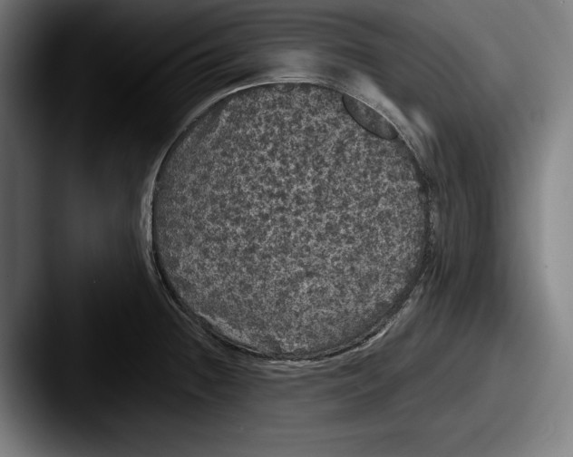 X0000087581236200705181155