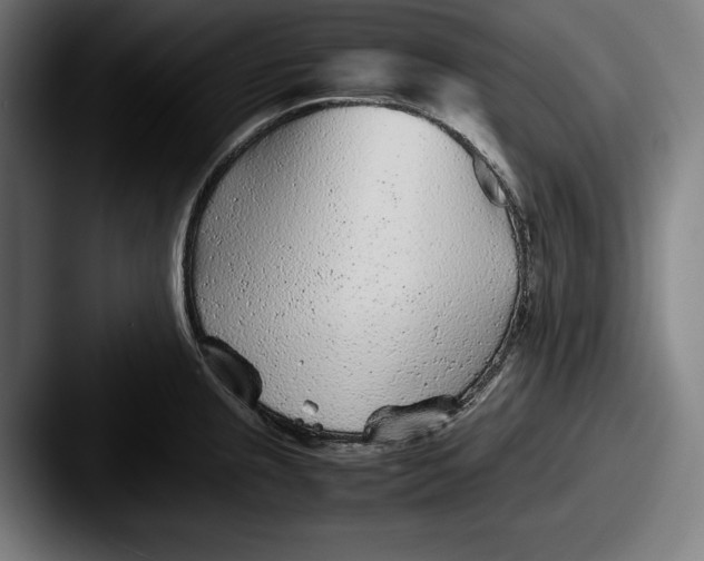 X0000087581237200705181155