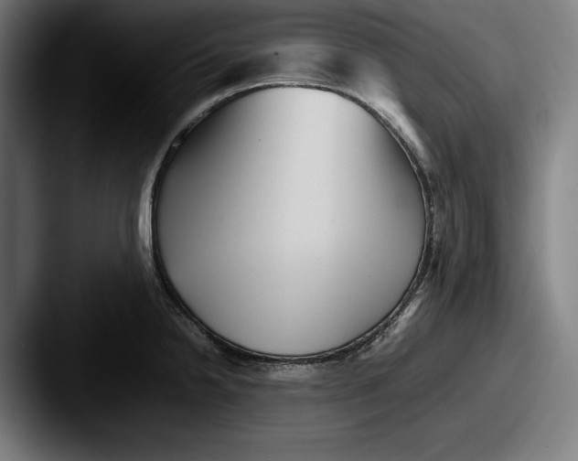 X0000087581238200705181155