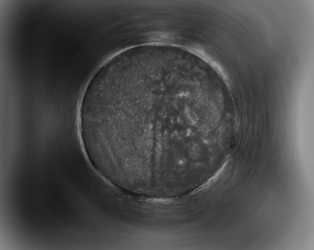 X0000087581239200705181155
