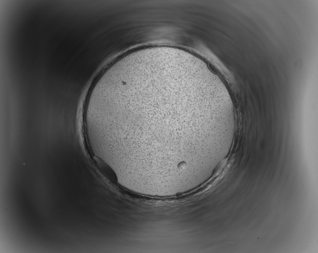 X0000087581240200705181155