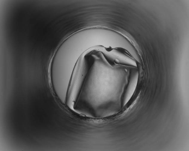 X0000087581242200705181155
