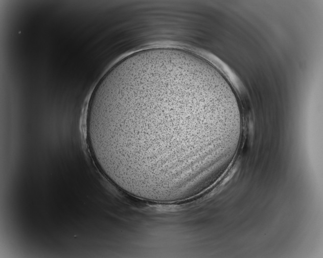 X0000087581244200705181155