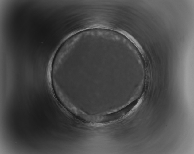 X0000087581246200705181155