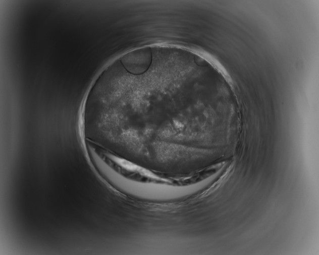 X0000087581247200705181155