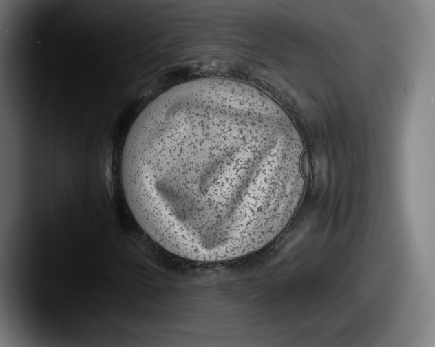 X0000087581250200705181155