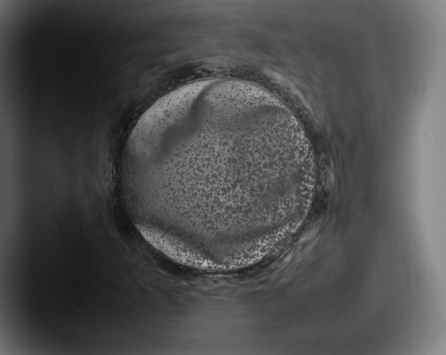 X0000087581253200705181155