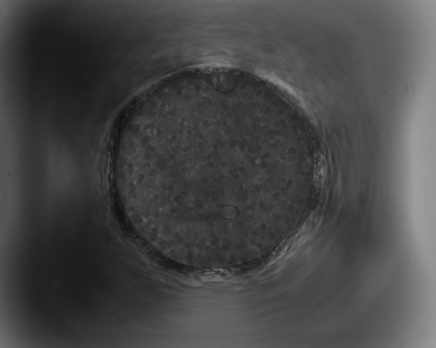X0000087581255200705181155