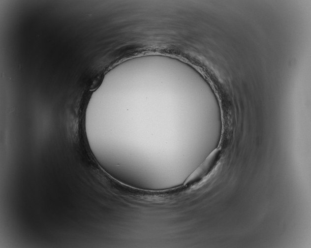 X0000087581257200705181155