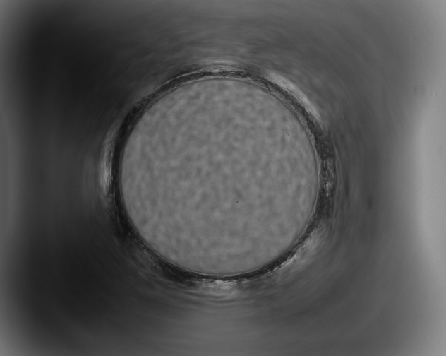 X0000087581261200705181154