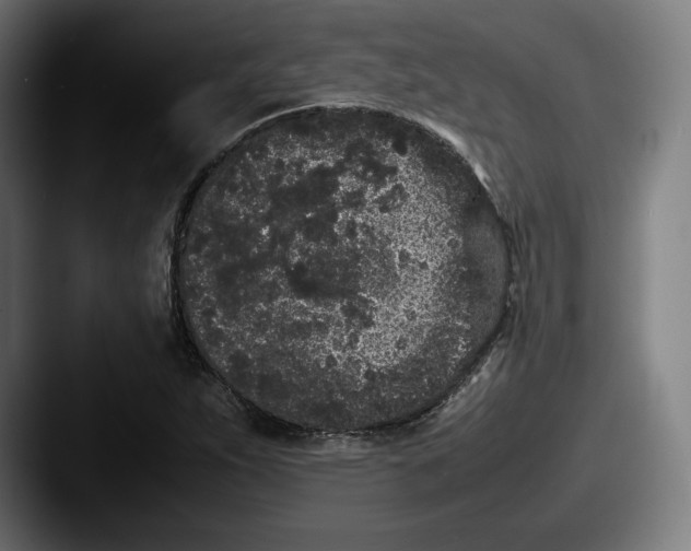 X0000087581263200705181154