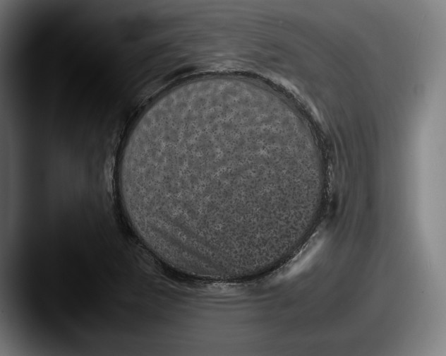 X0000087581265200705181154