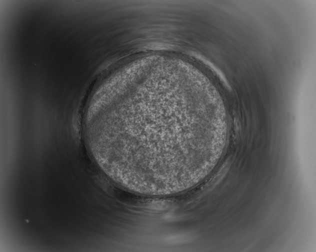 X0000087581266200705181154