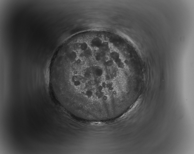 X0000087581267200705181154