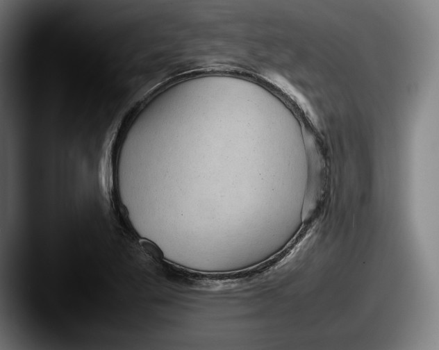 X0000087581269200705181154