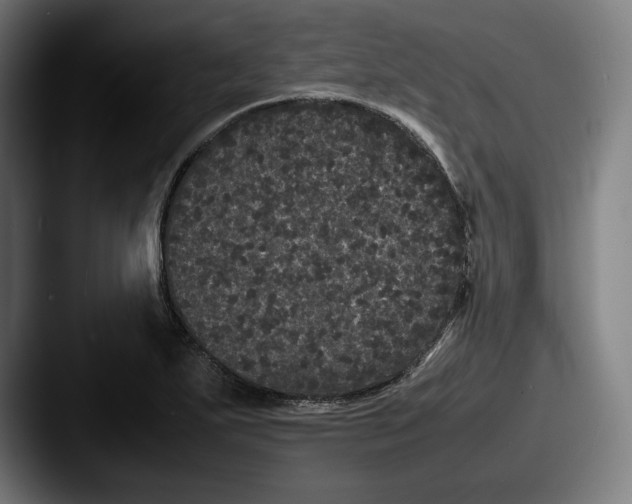 X0000087581271200705181154