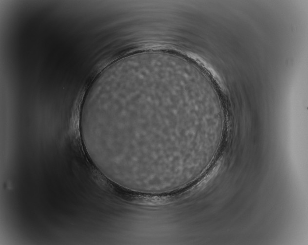 X0000087581273200705181154