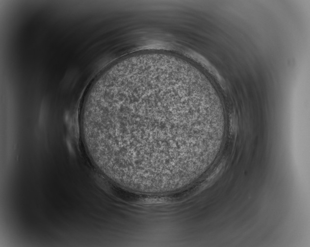 X0000087581274200705181154