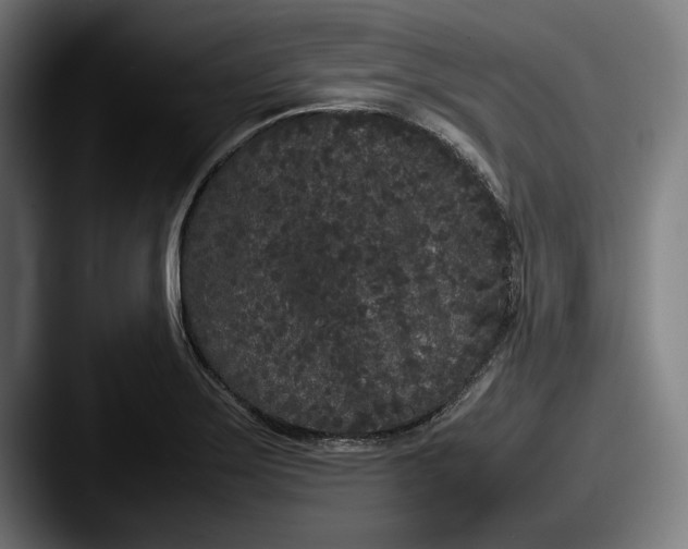 X0000087581275200705181154