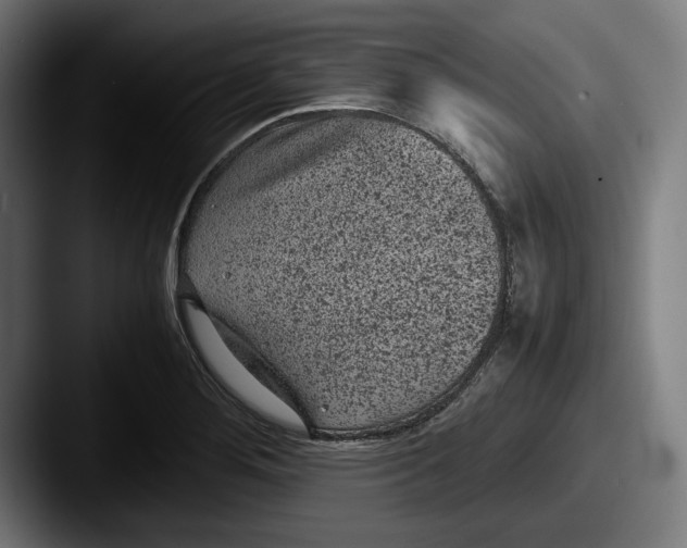X0000087581276200705181154