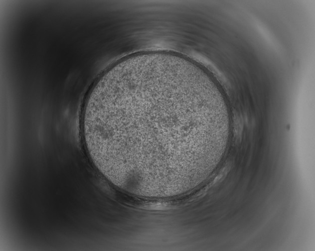 X0000087581278200705181154