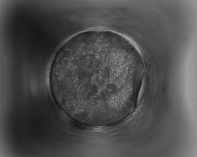 X0000087581279200705181154