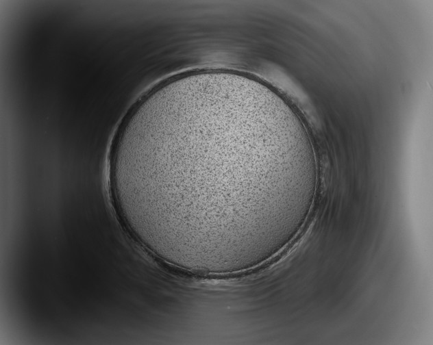 X0000087581280200705181154