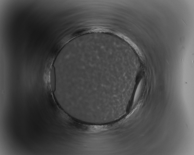 X0000087581281200705181154