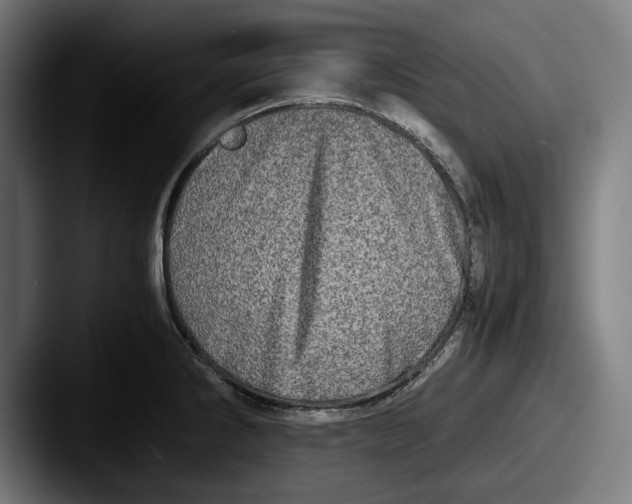 X0000087581286200705181154