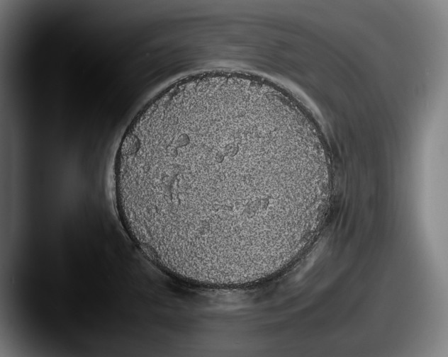X0000087581287200705181154