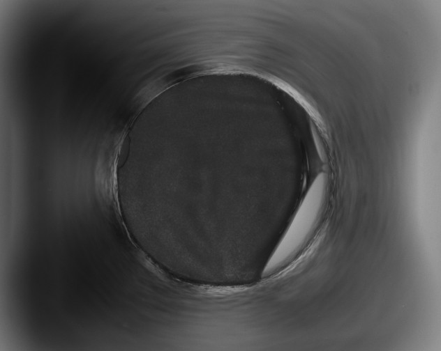 X0000087581289200705181154