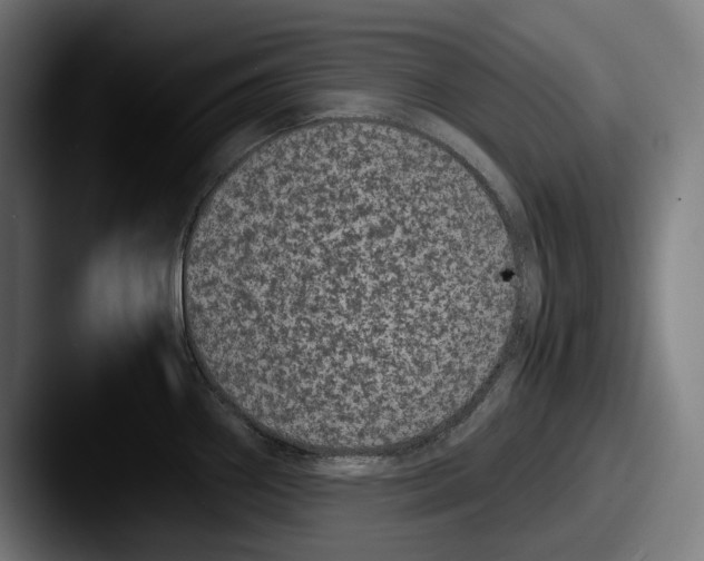 X0000087581290200705181154
