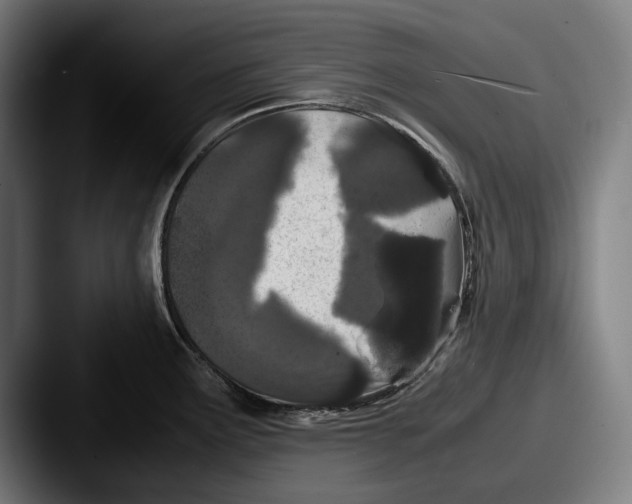 X0000087581291200705181154