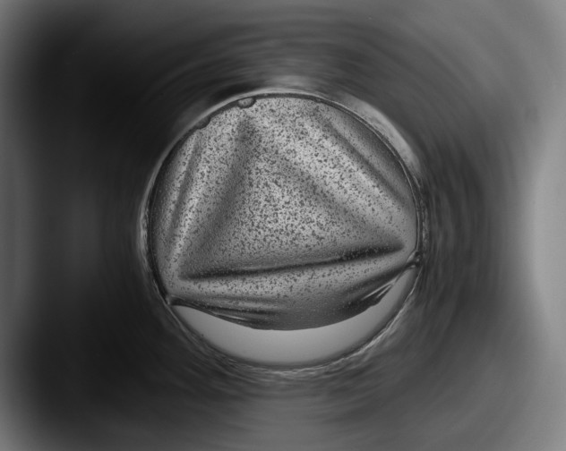 X0000087581292200705181154