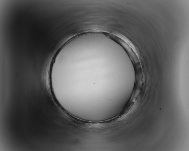 X0000087581293200705181154