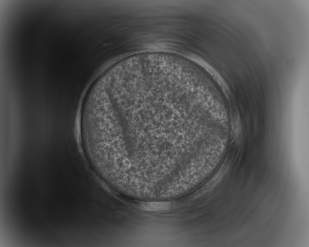 X0000087581294200705181154
